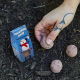 Snowman Poop: Wildflower Seed Ball