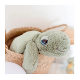 Tyler the Turtle Stuffed Animal (Large)