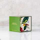 REWINED Wine Under the Tree Holiday Candle with Gift Box, 5.5oz.