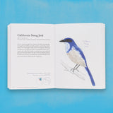 The Field Guide to Dumb Birds of the Whole Stupid World Book